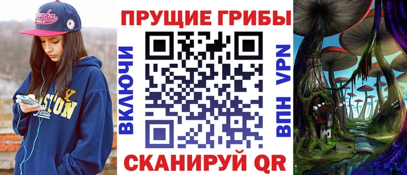 Галлюциногенные грибы Psilocybe  Покачи 